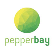 cabinet-conseil-cybersécurité-peperbay